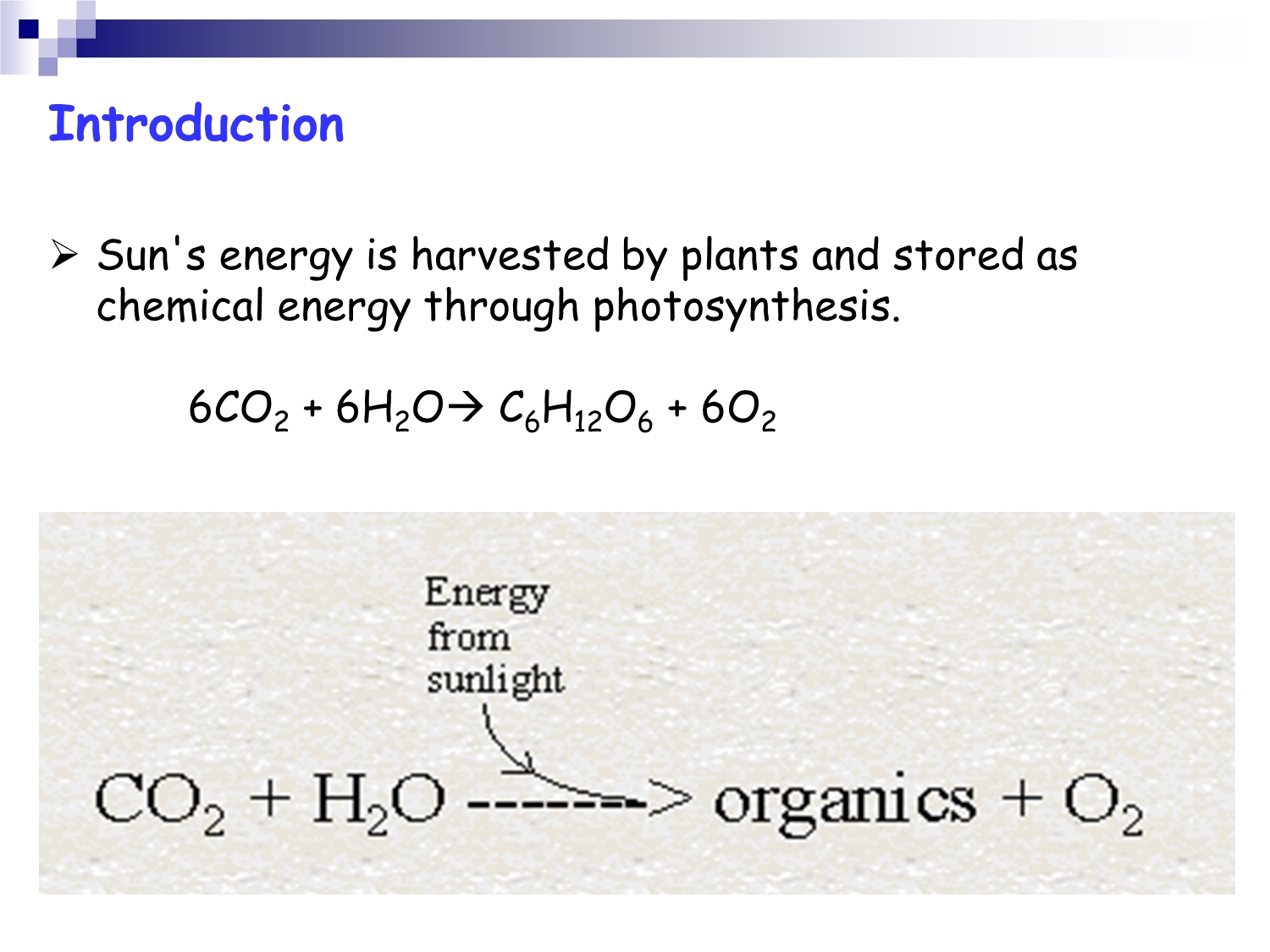 No preview available